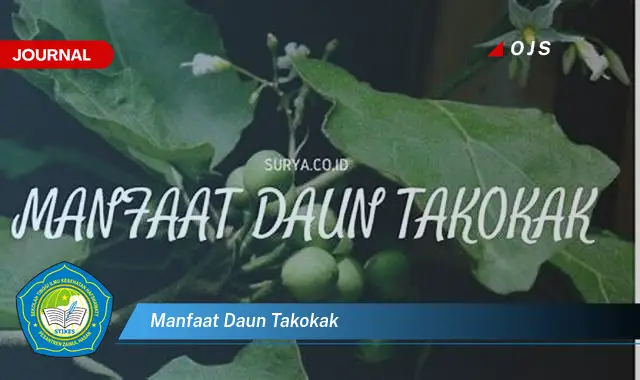 manfaat daun takokak