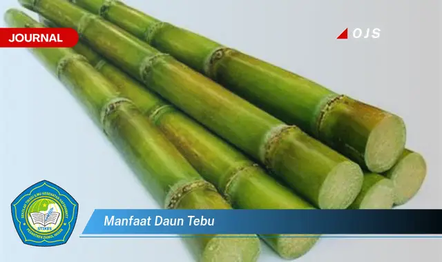 manfaat daun tebu