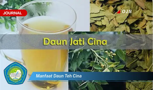 manfaat daun teh cina