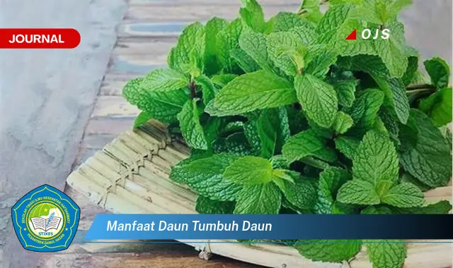 manfaat daun tumbuh daun