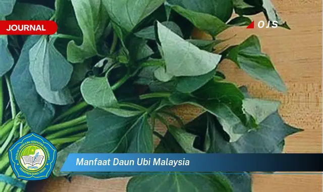 manfaat daun ubi malaysia