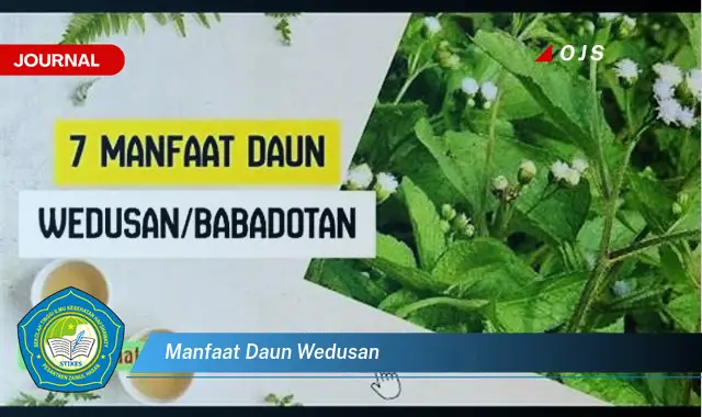 Ketahui 10 Manfaat Daun Wedusan untuk Kesehatan Tubuh Anda