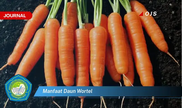 manfaat daun wortel