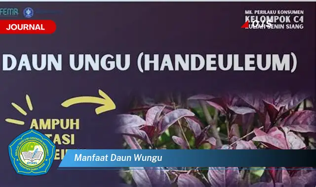 Ketahui 8 Manfaat Daun Wungu untuk Kesehatan Anda Secara Lengkap