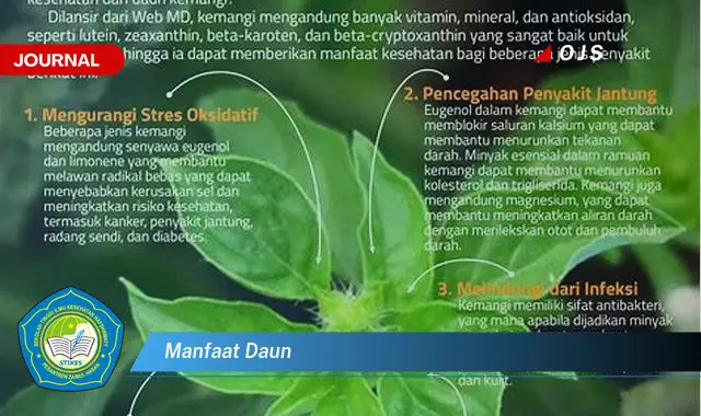 manfaat daun