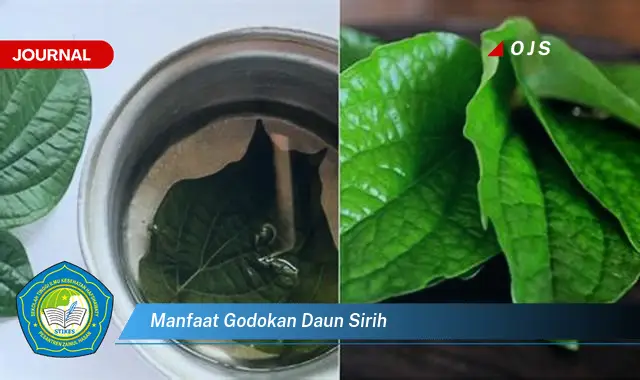 manfaat godokan daun sirih