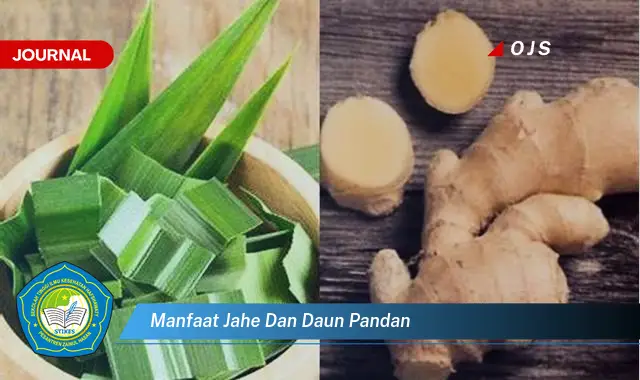 manfaat jahe dan daun pandan