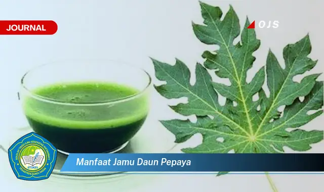 manfaat jamu daun pepaya