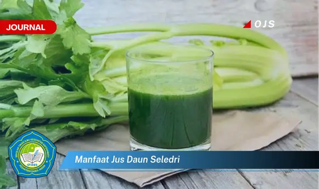 manfaat jus daun seledri