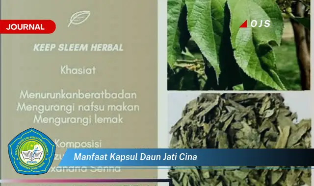 manfaat kapsul daun jati cina