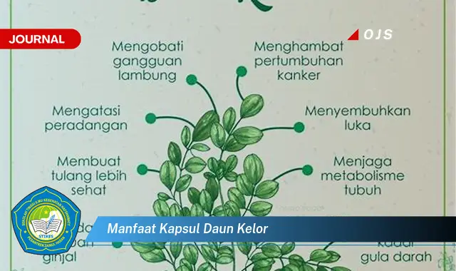 manfaat kapsul daun kelor