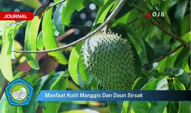 Ketahui 8 Manfaat Kulit Manggis dan Daun Sirsak untuk Kesehatan Anda