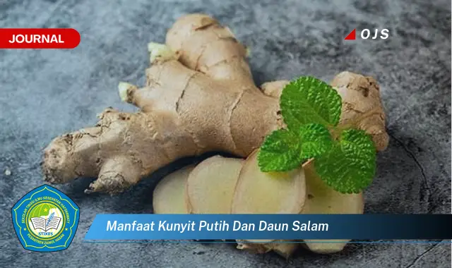 manfaat kunyit putih dan daun salam