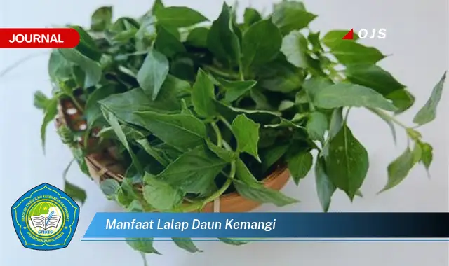 manfaat lalap daun kemangi