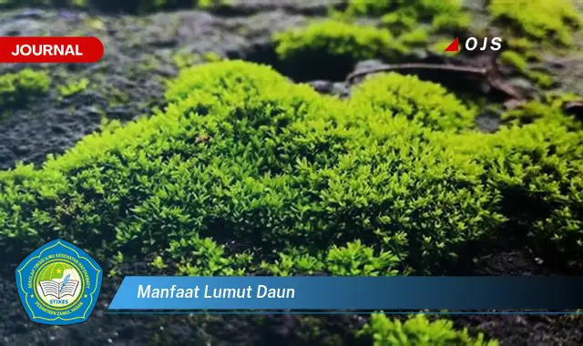 Ketahui 8 Manfaat Lumut Daun untuk Kesehatan, Lingkungan, dan Kecantikan