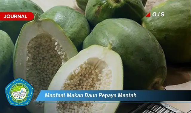 manfaat makan daun pepaya mentah