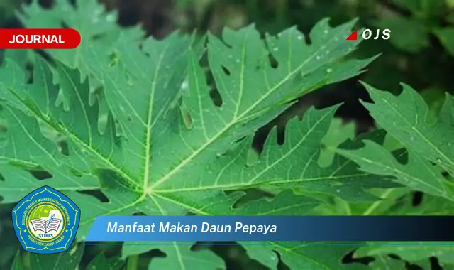 manfaat makan daun pepaya