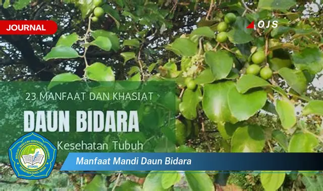 Ketahui 9 Manfaat Mandi Daun Bidara untuk Kesehatan dan Kecantikan Kulit