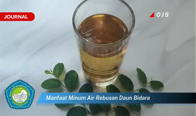 manfaat minum air rebusan daun bidara