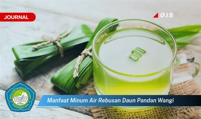 manfaat minum air rebusan daun pandan wangi