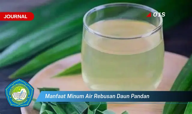 Ketahui 10 Manfaat Minum Air Rebusan Daun Pandan untuk Kesehatan Anda