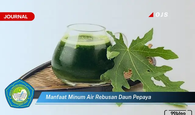 manfaat minum air rebusan daun pepaya