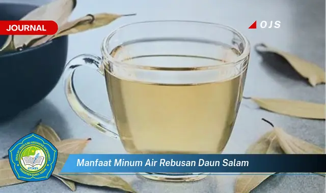 manfaat minum air rebusan daun salam