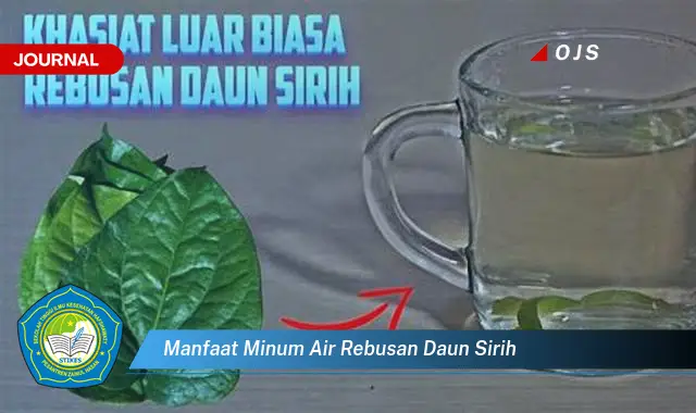 manfaat minum air rebusan daun sirih