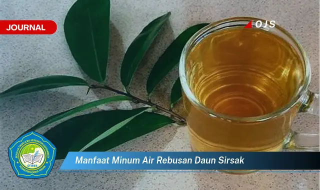 manfaat minum air rebusan daun sirsak