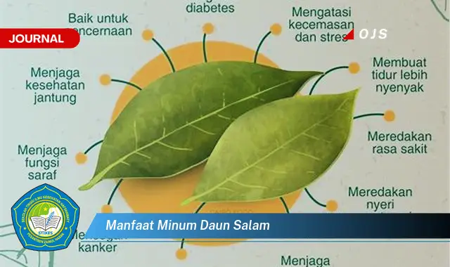 Ketahui 8 Manfaat Minum Daun Salam untuk Kesehatan Tubuh Anda