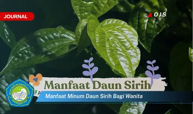 manfaat minum daun sirih bagi wanita