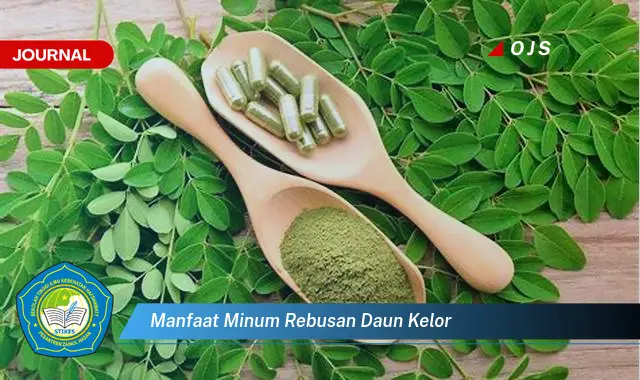 Ketahui 10 Manfaat Minum Rebusan Daun Kelor untuk Kesehatan Tubuh Anda