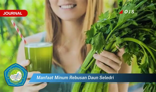 manfaat minum rebusan daun seledri