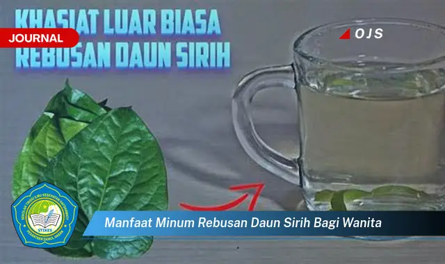 manfaat minum rebusan daun sirih bagi wanita