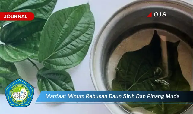 manfaat minum rebusan daun sirih dan pinang muda