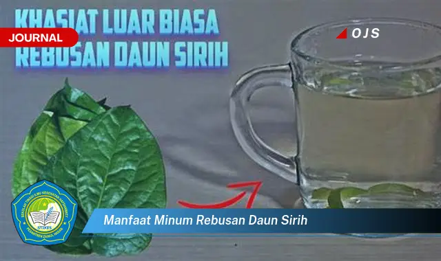 manfaat minum rebusan daun sirih