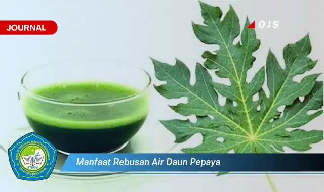 manfaat rebusan air daun pepaya