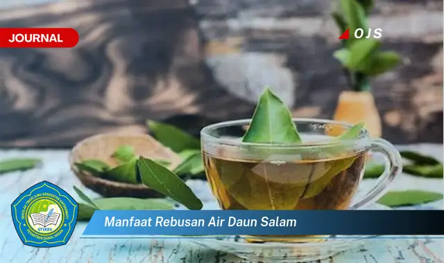 manfaat rebusan air daun salam