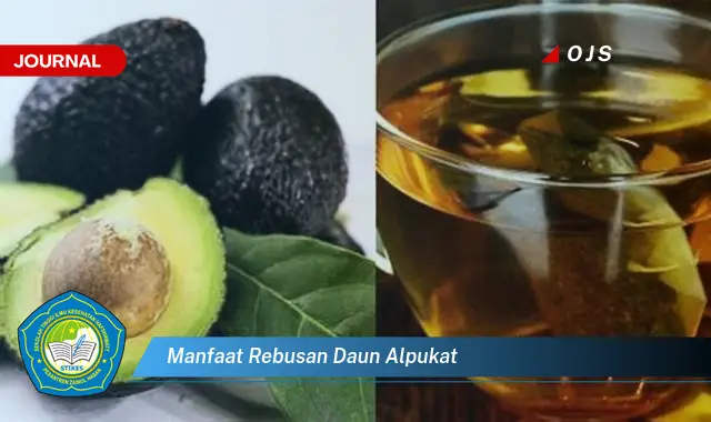 manfaat rebusan daun alpukat