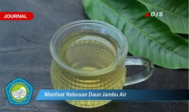 manfaat rebusan daun jambu air