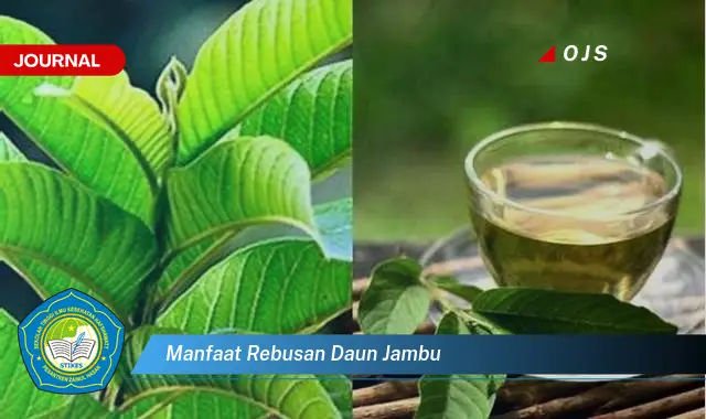 manfaat rebusan daun jambu