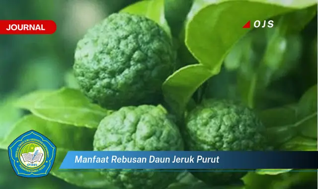 manfaat rebusan daun jeruk purut