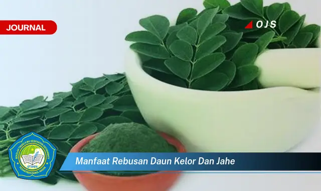 manfaat rebusan daun kelor dan jahe