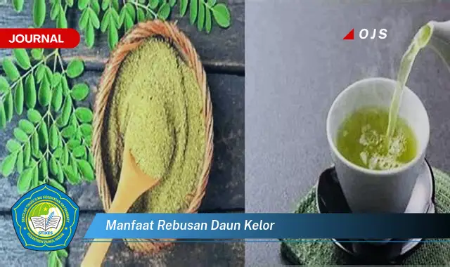 manfaat rebusan daun kelor