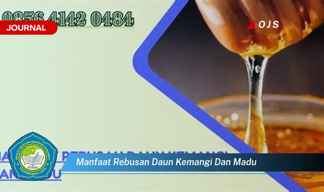 manfaat rebusan daun kemangi dan madu