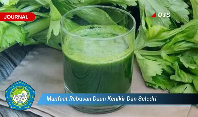 Ketahui 9 Manfaat Rebusan Daun Kenikir dan Seledri untuk Kesehatan Tubuh Anda