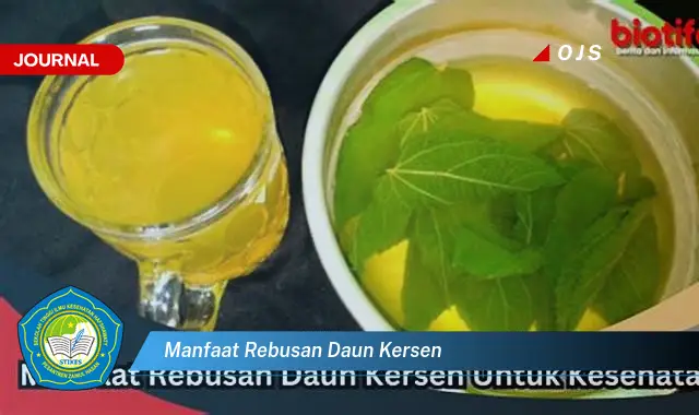 manfaat rebusan daun kersen