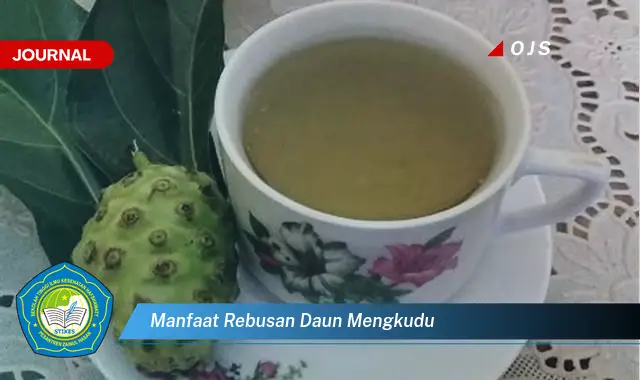 manfaat rebusan daun mengkudu