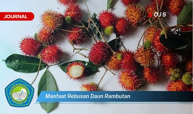 Ketahui 8 Manfaat Rebusan Daun Rambutan untuk Kesehatan Anda