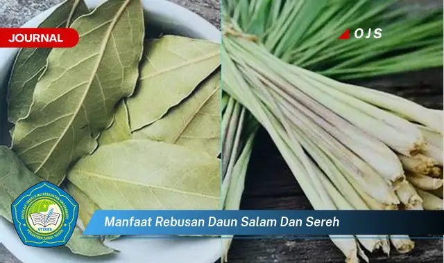 manfaat rebusan daun salam dan sereh